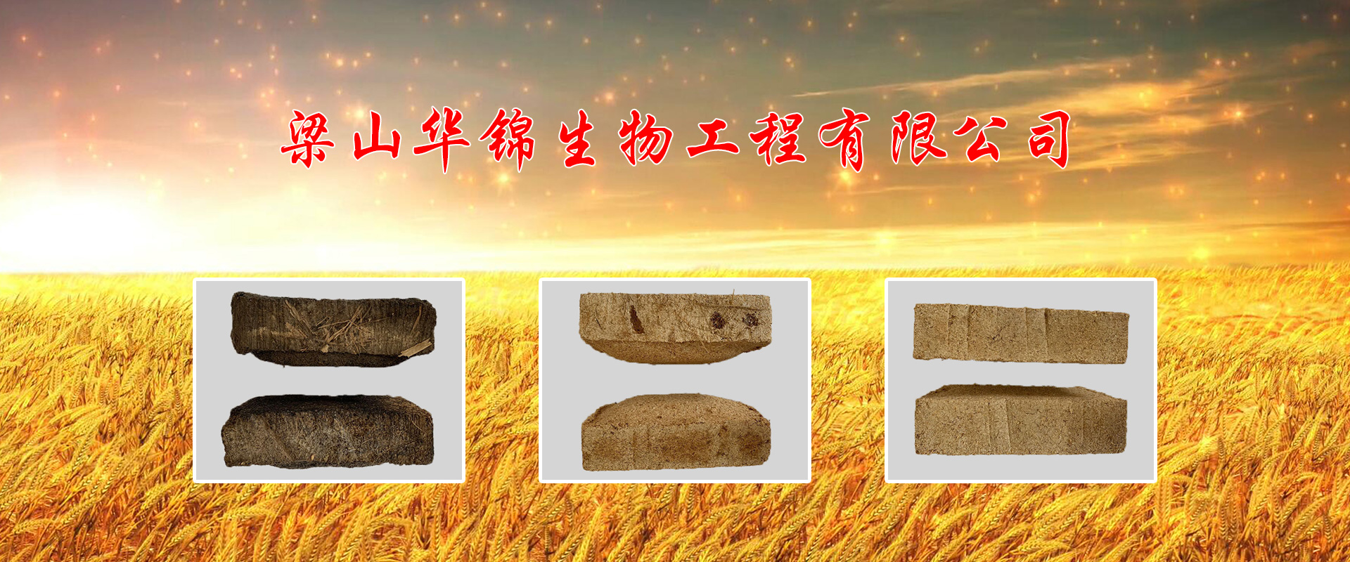 梁山华锦生物科技有限公司
