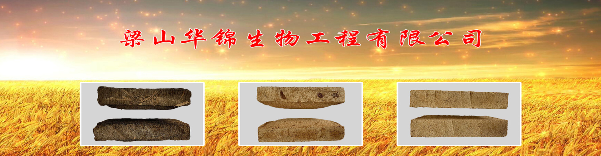山东酒曲厂家